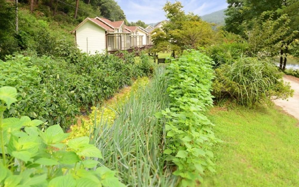 Фото Yangyang Sigol Punggyeong Pension