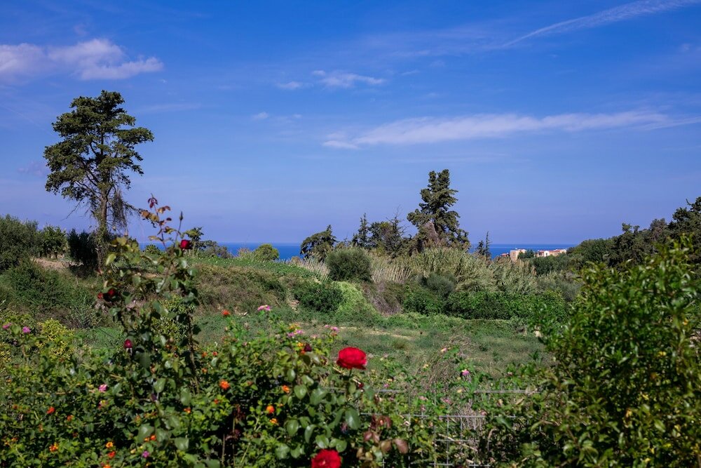 Фото The Olive House