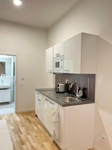 Гостиница Helen Homestay Florenc Newly Apartment в Праге