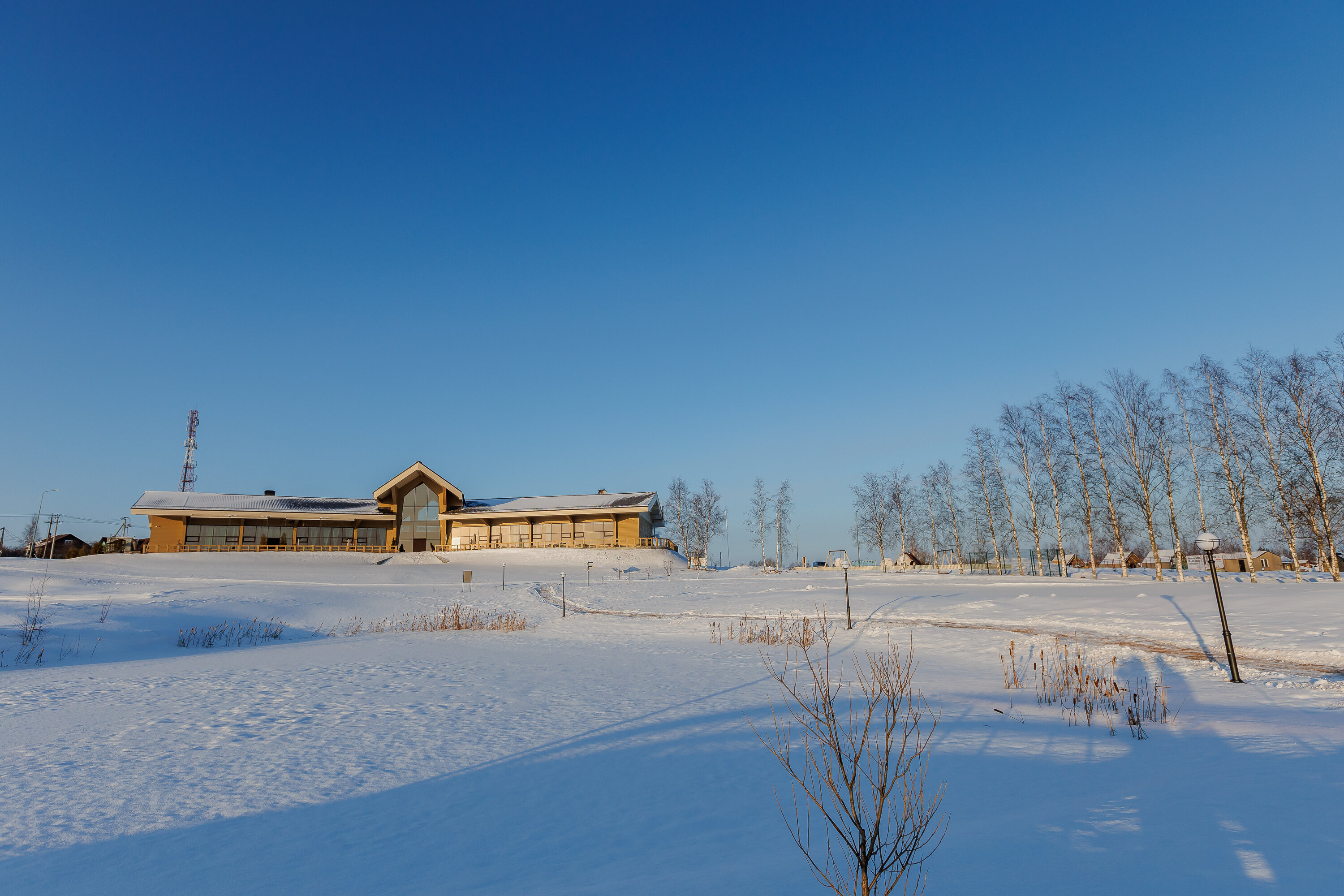 Фото Земляничные Поляны