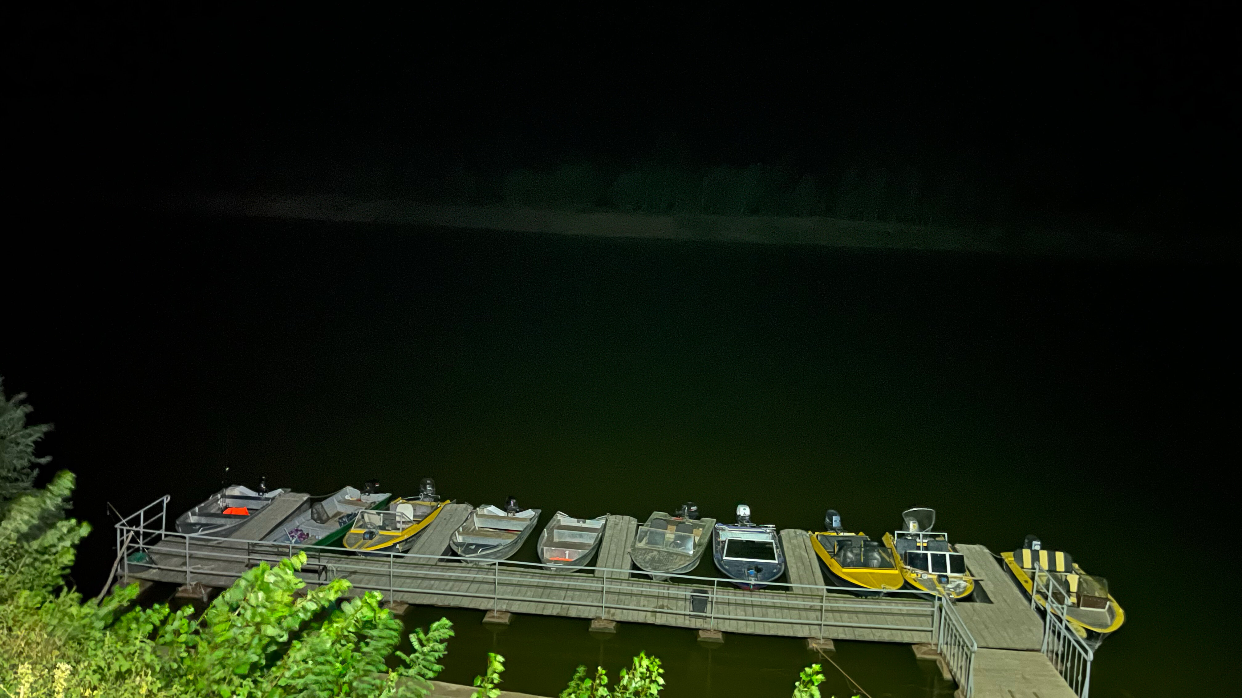 Фото Золотая рыбка