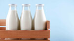 Milky Land (Abaı dańǵyly, 10), lechería