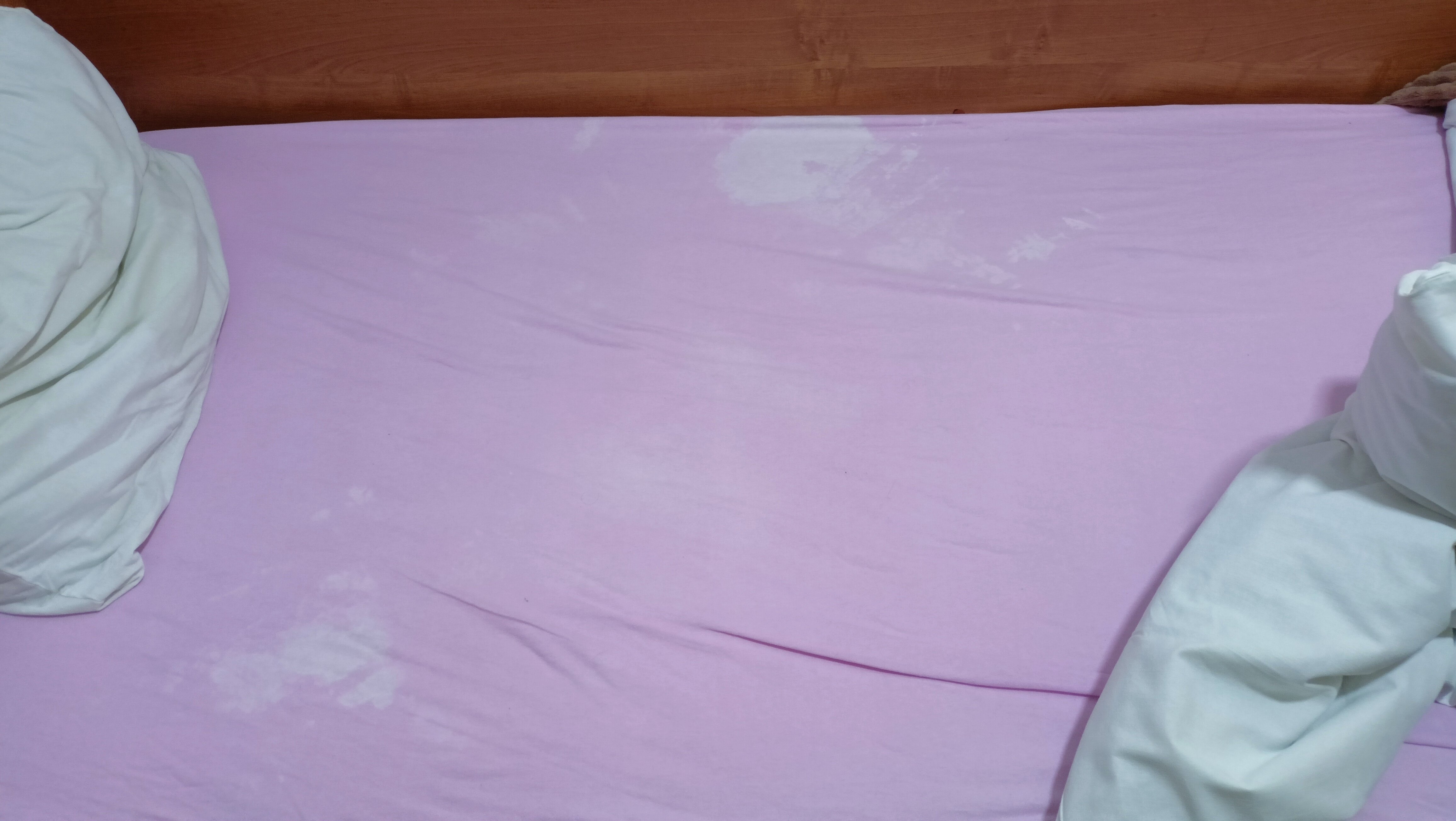 Фото Рафаэль