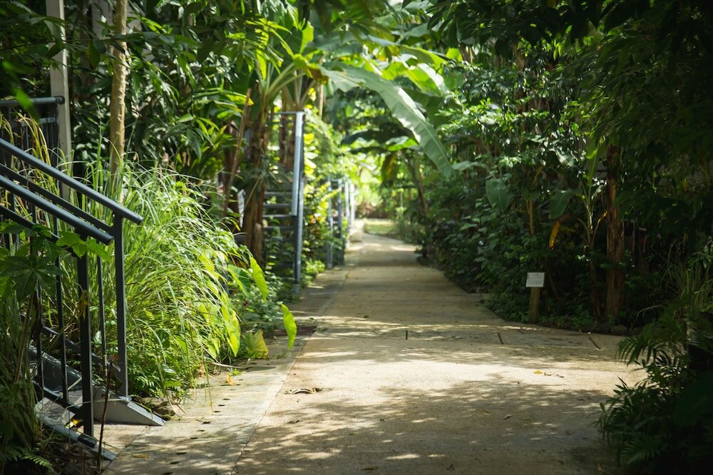 Фото Airai Forest Villa