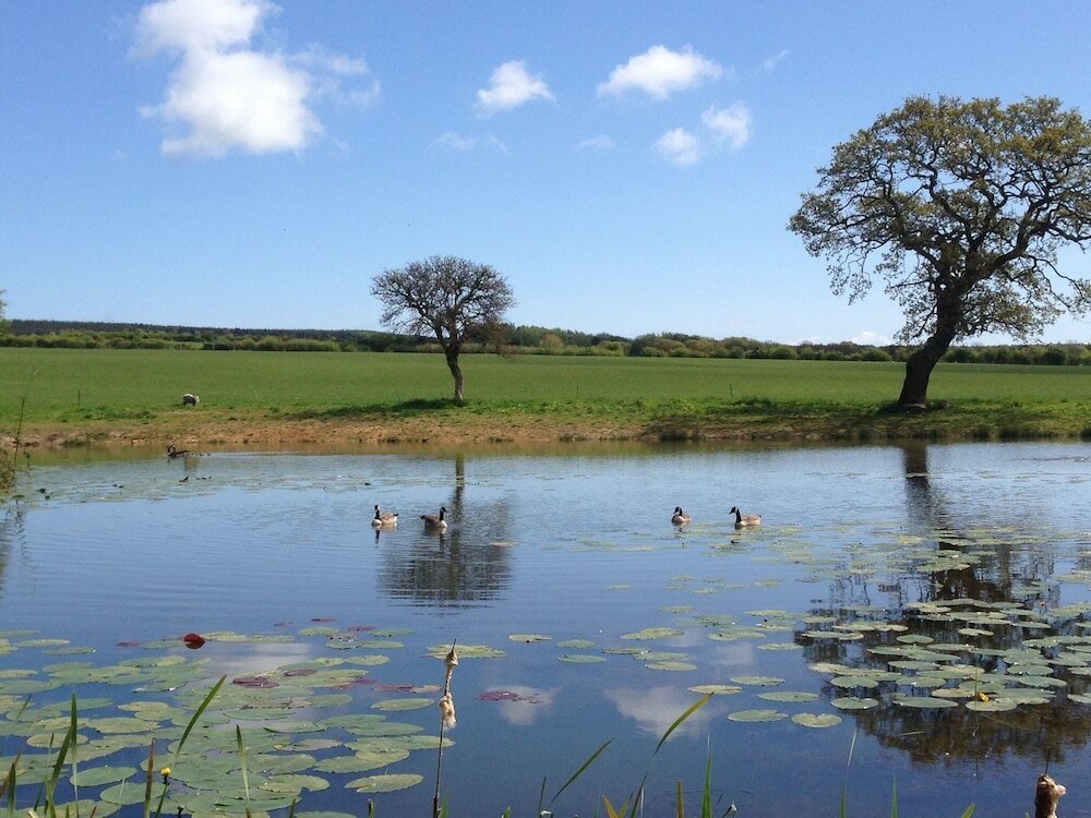 Фото The Grainary Farm Stay