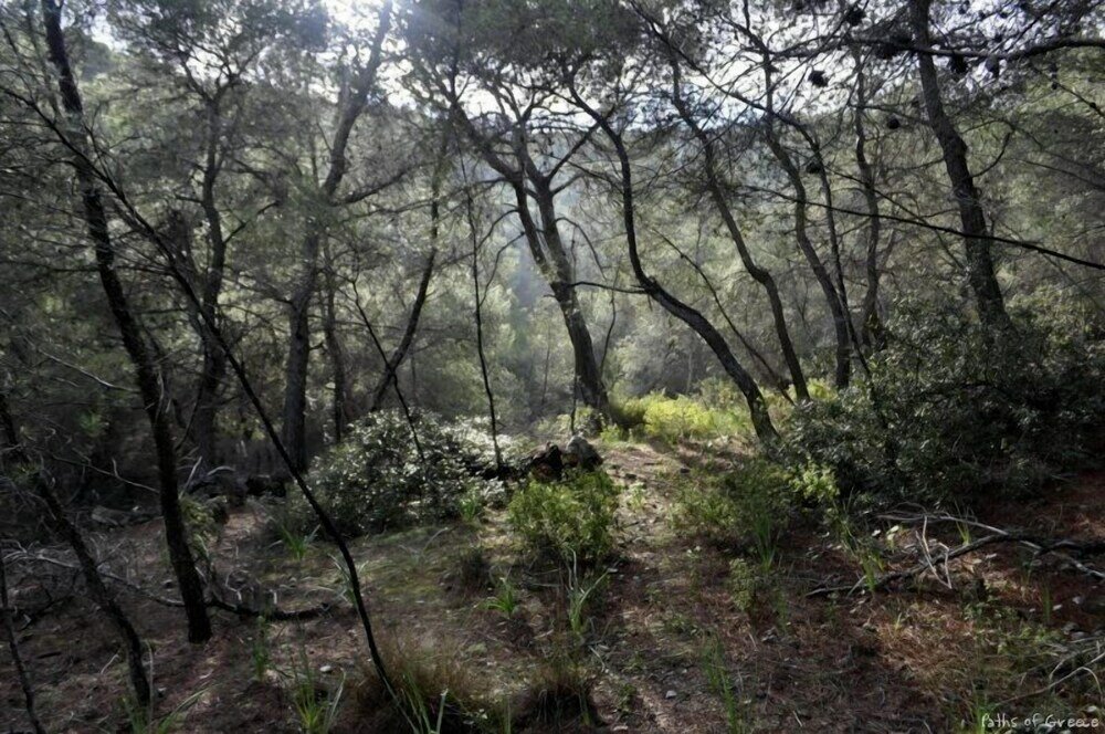 Фото Agistri Apartments