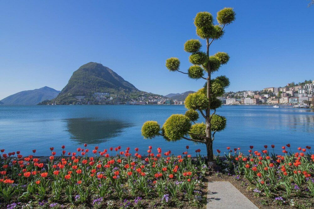 Фото Rebecca Garden