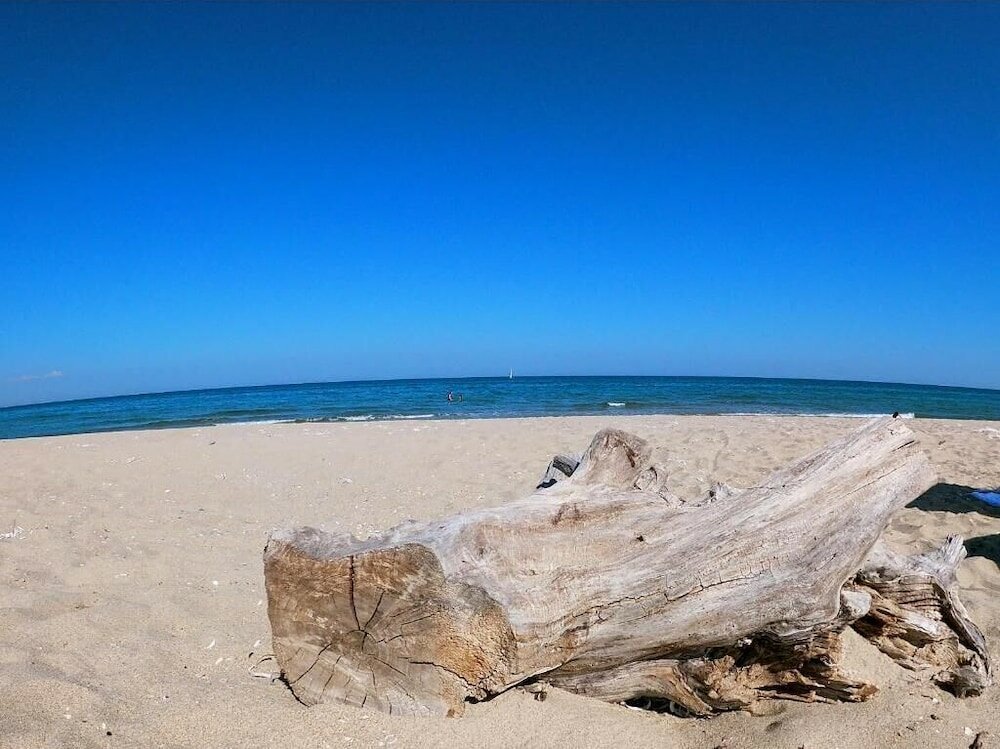 Фото Weißer Schwan