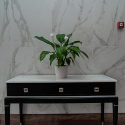 Фото Sofia International Hotel