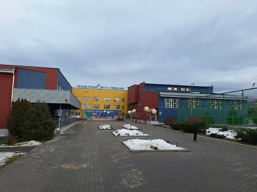 Азиялық гимнасттар жалаңаш