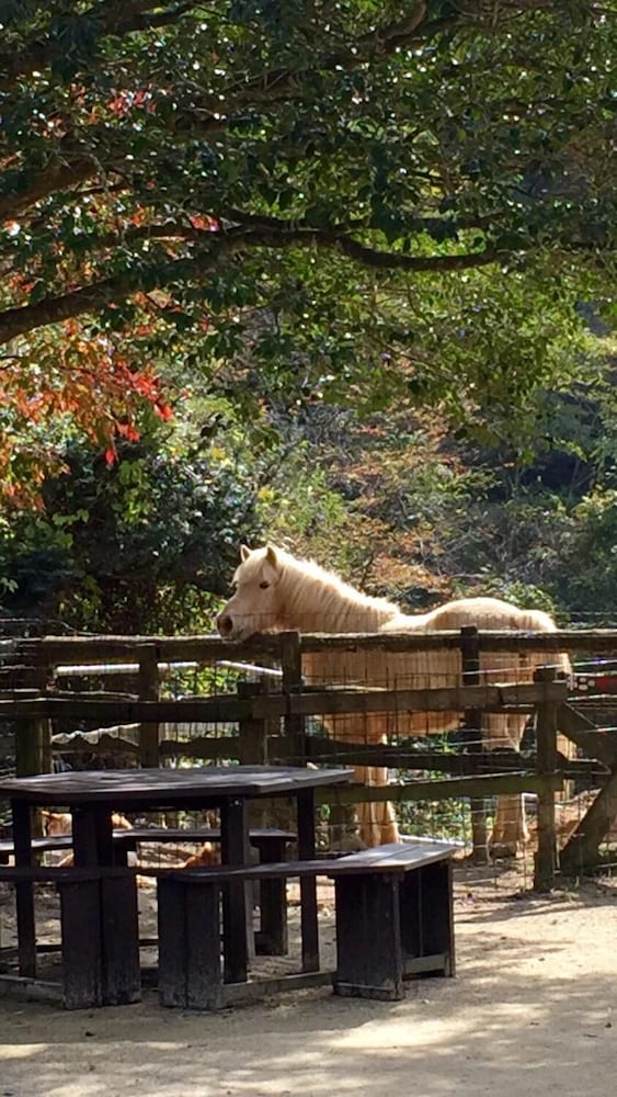 Фото Dosanko Mira Farm