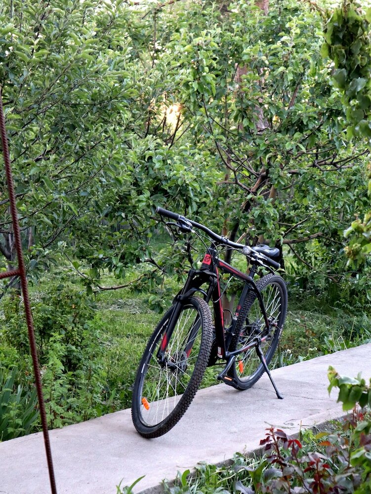 Фото Esenin 1 Bar & Hostel