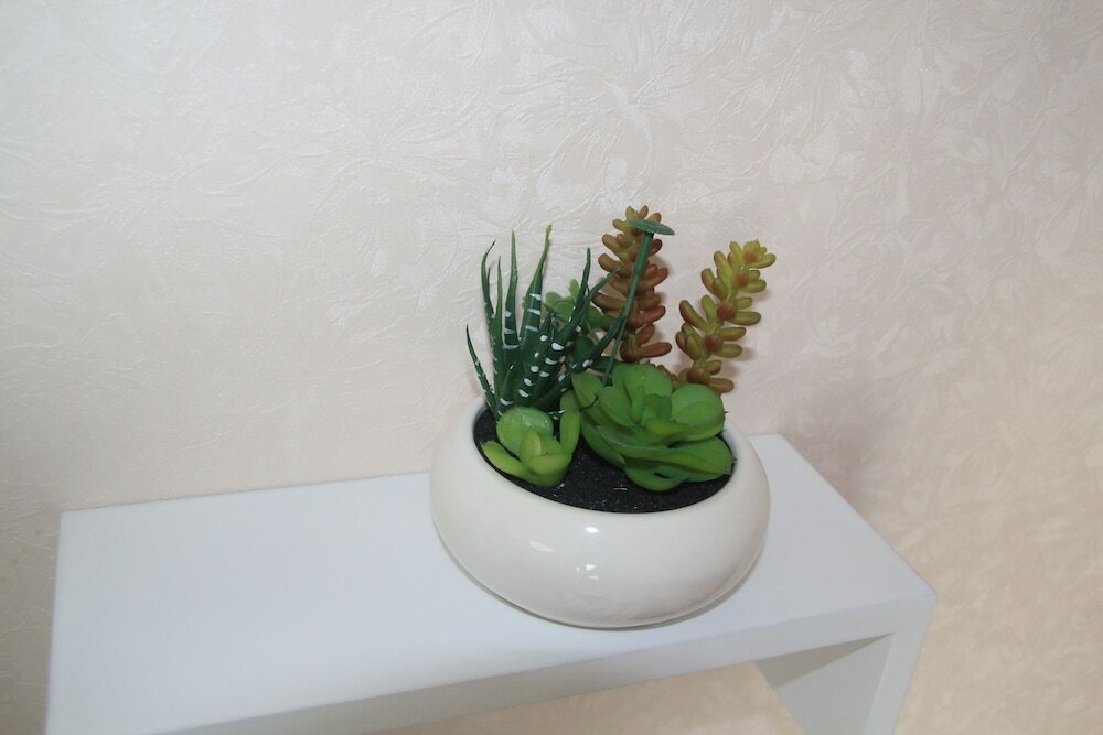 Фото Shirakabanoyado-Akinai