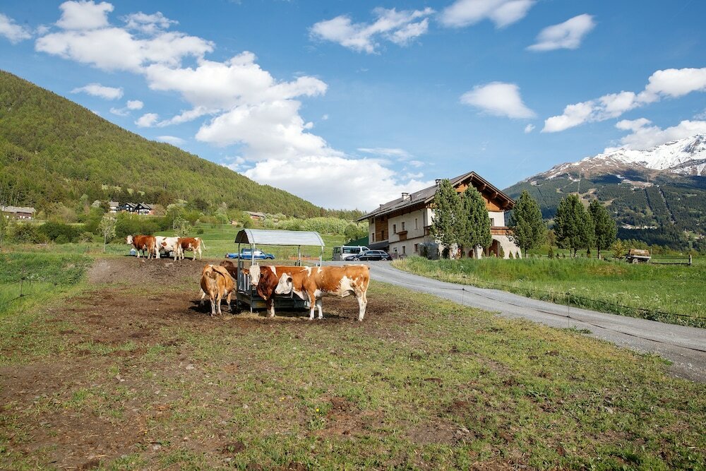 Фото Agriturismo San Gallo