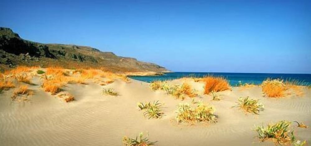 Фото Dimitra Apartments