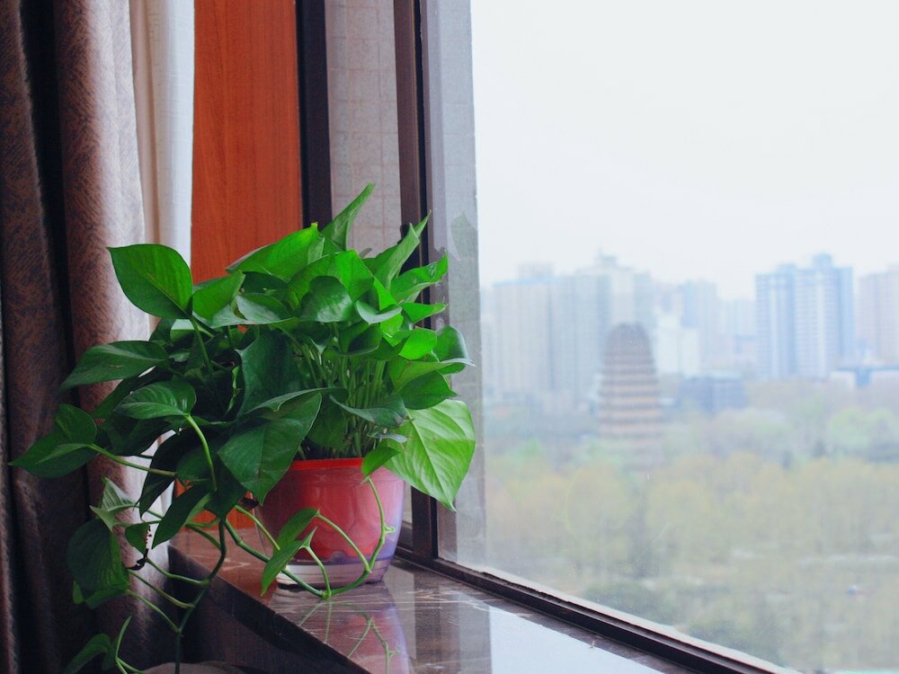 Фото Xian Guotai grand hotel