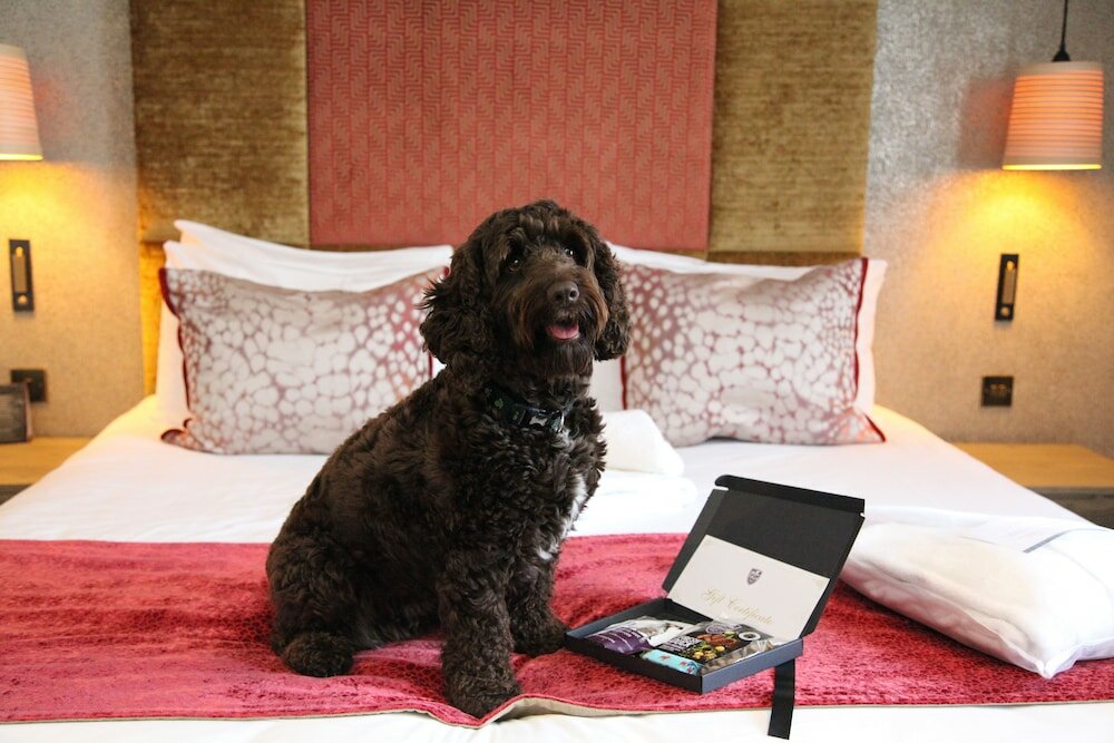 Фото Gonville Hotel