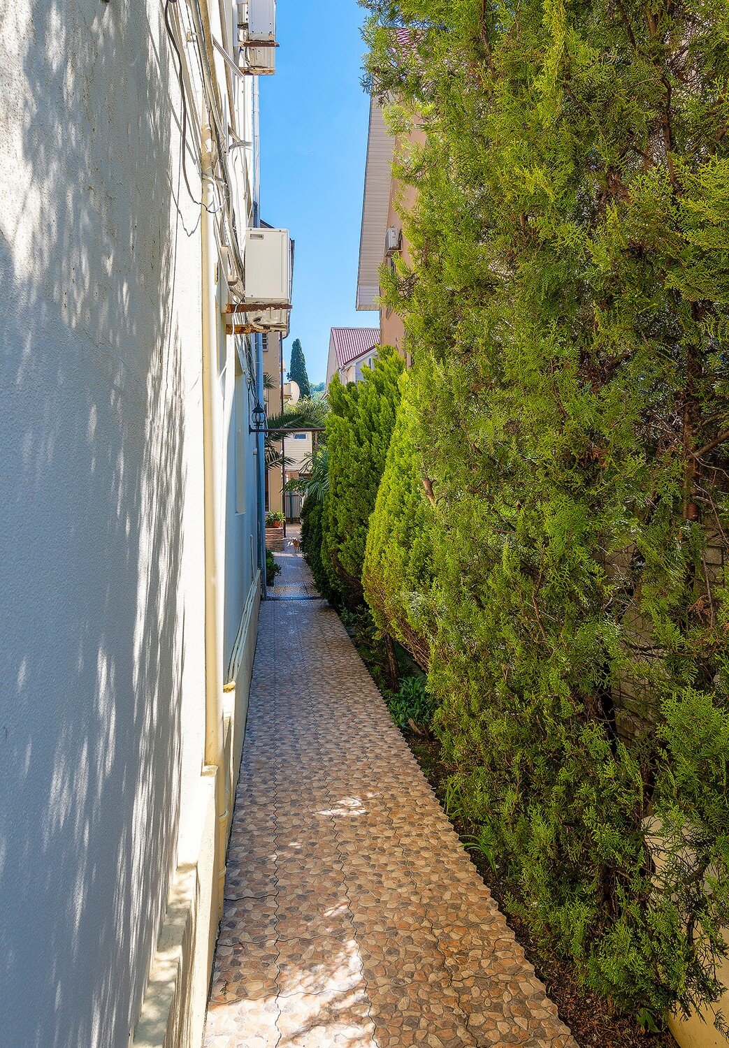 Фото Белая Лилия