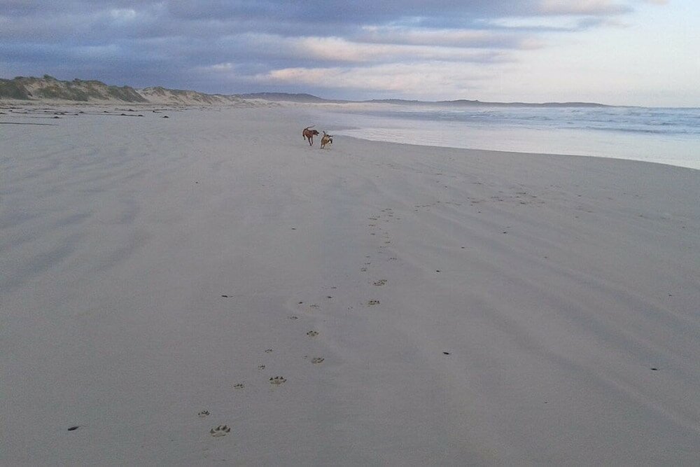 Фото Franskraal Collection