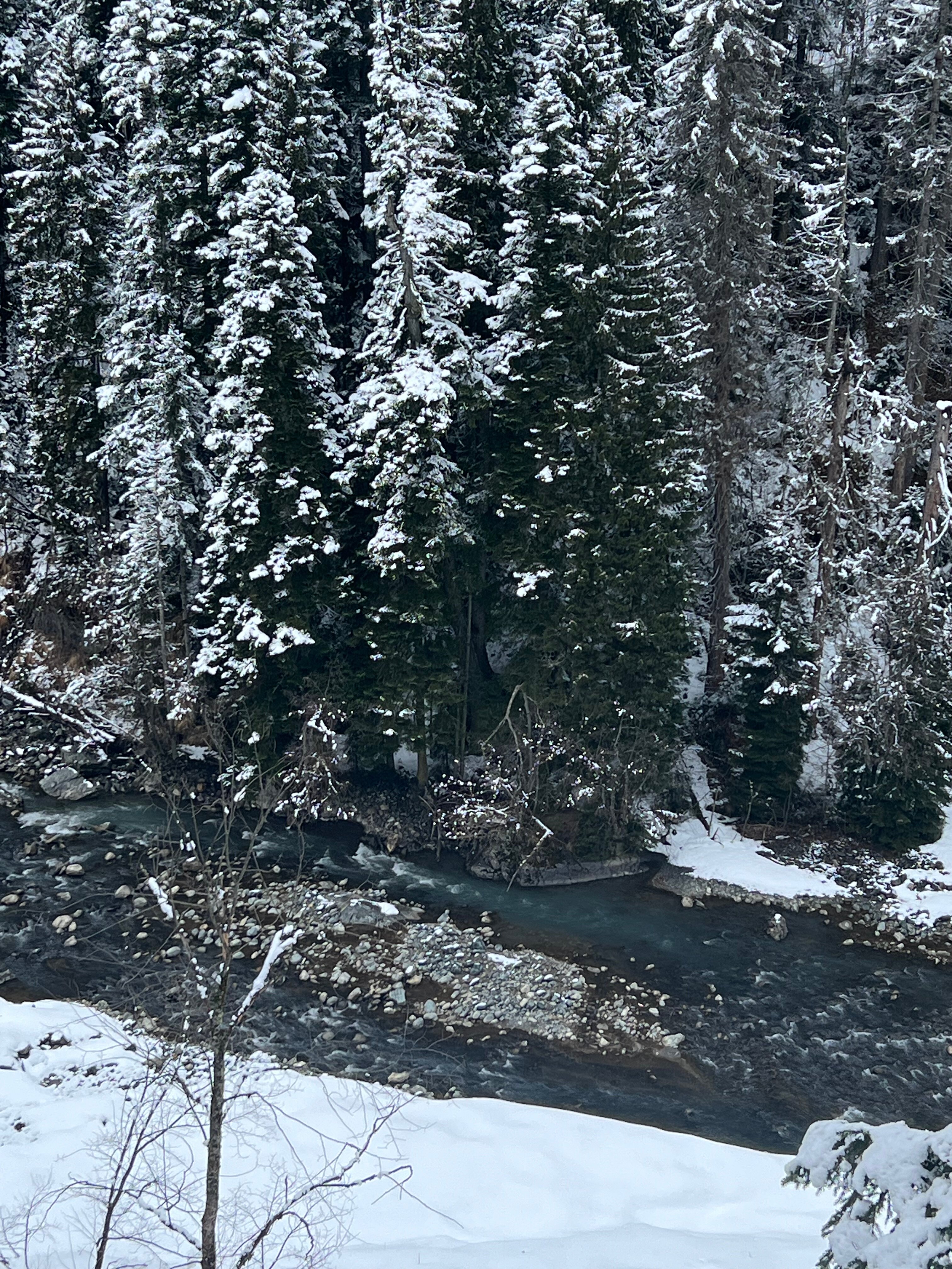 Фото Дубки Snow Point