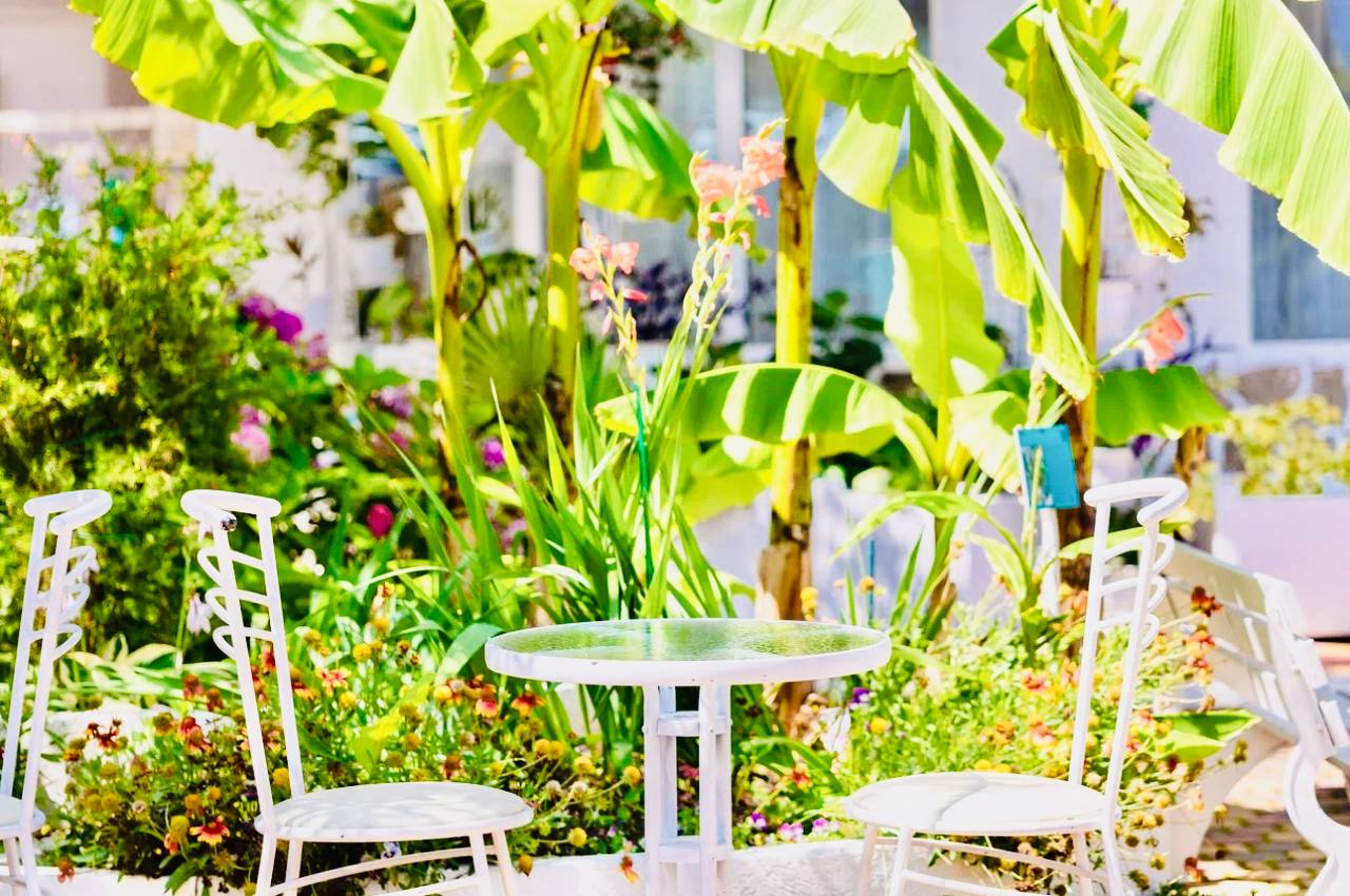 Фото Нараяна