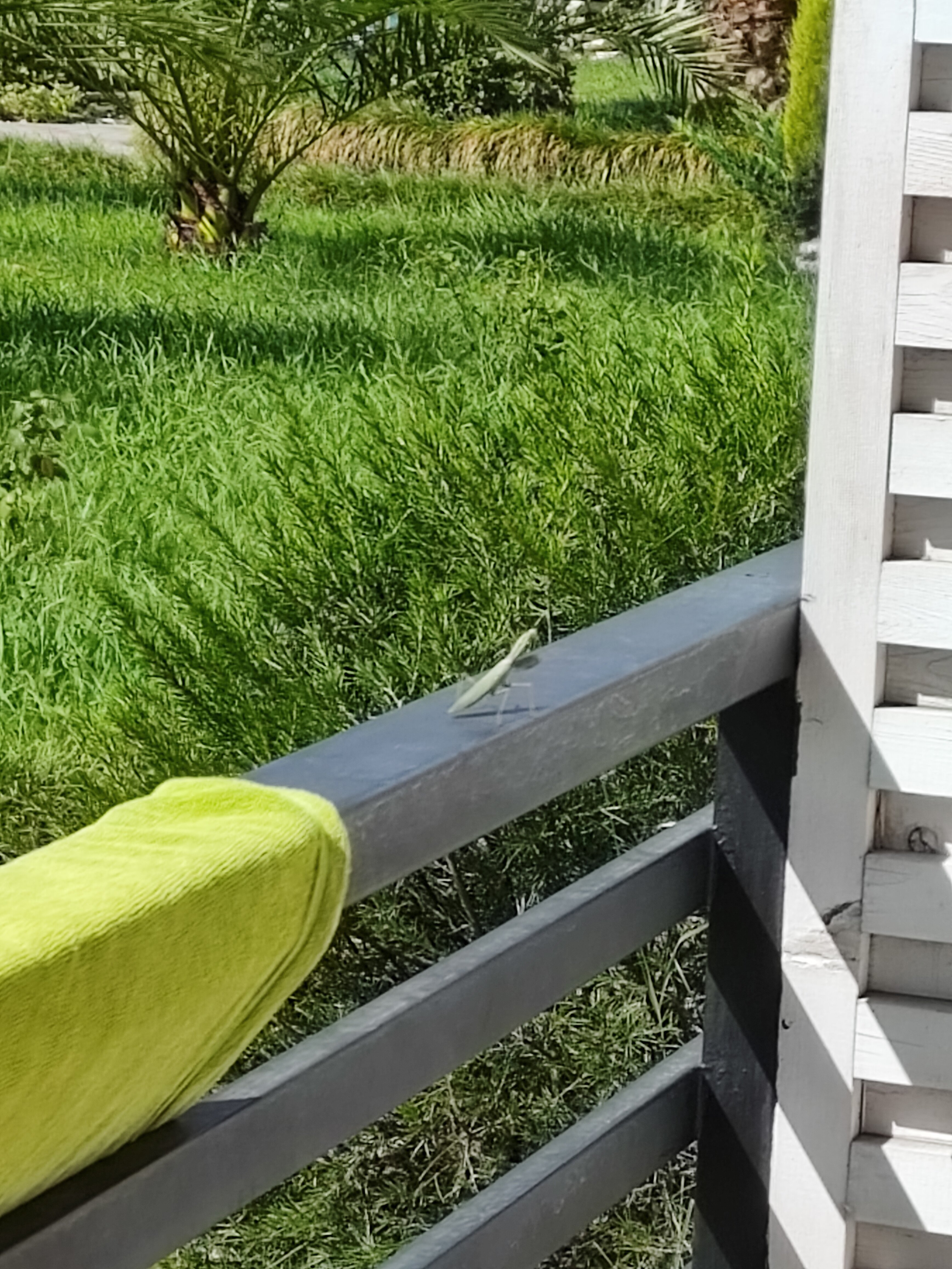 Фото Оазис Клаб Резорт Отель