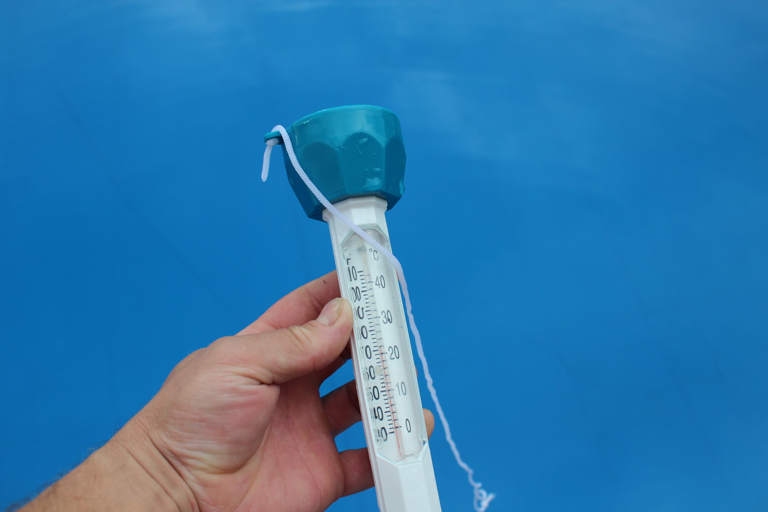 Фото Гнездо