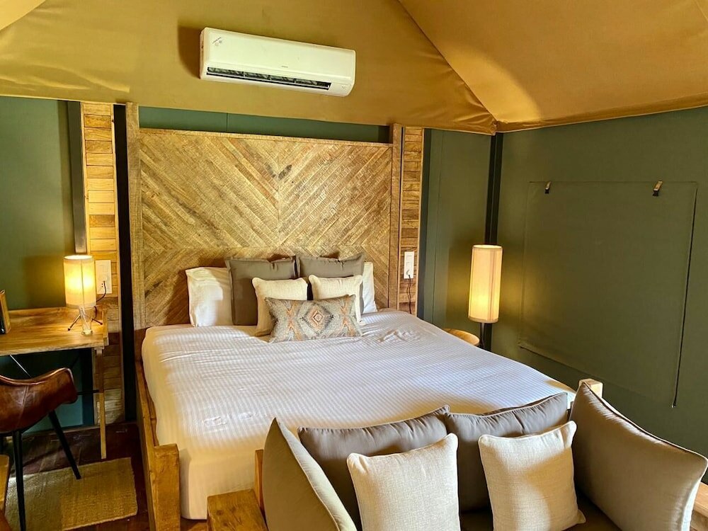 Фото Trees & Tigers