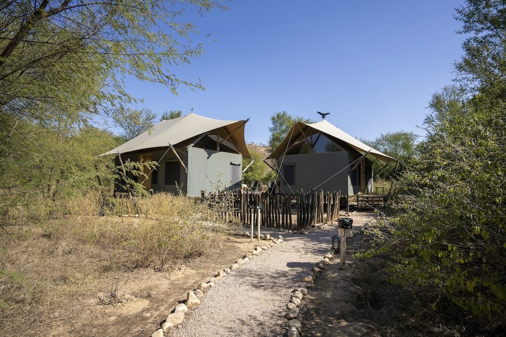 Фото Trees & Tigers