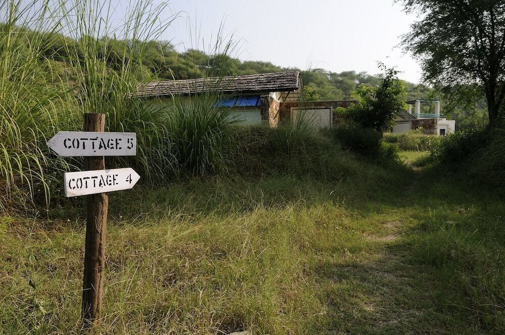Фото Trees & Tigers