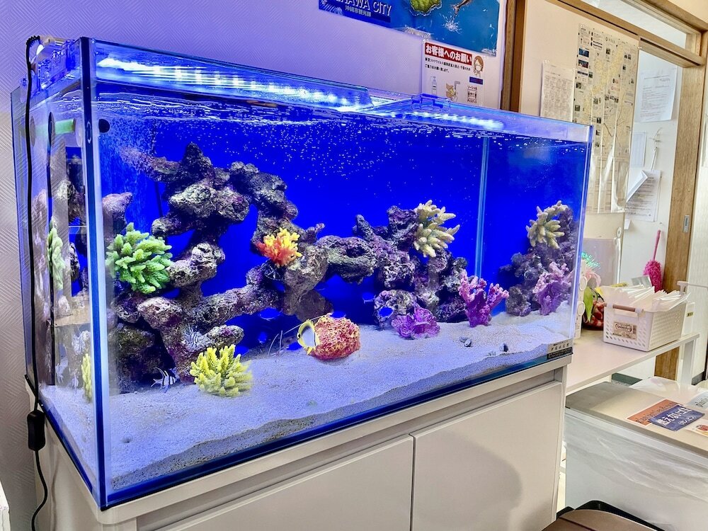 Фото Hotel Time Rich