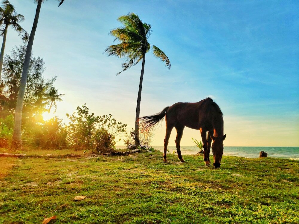 Фото Earth Park Resorts