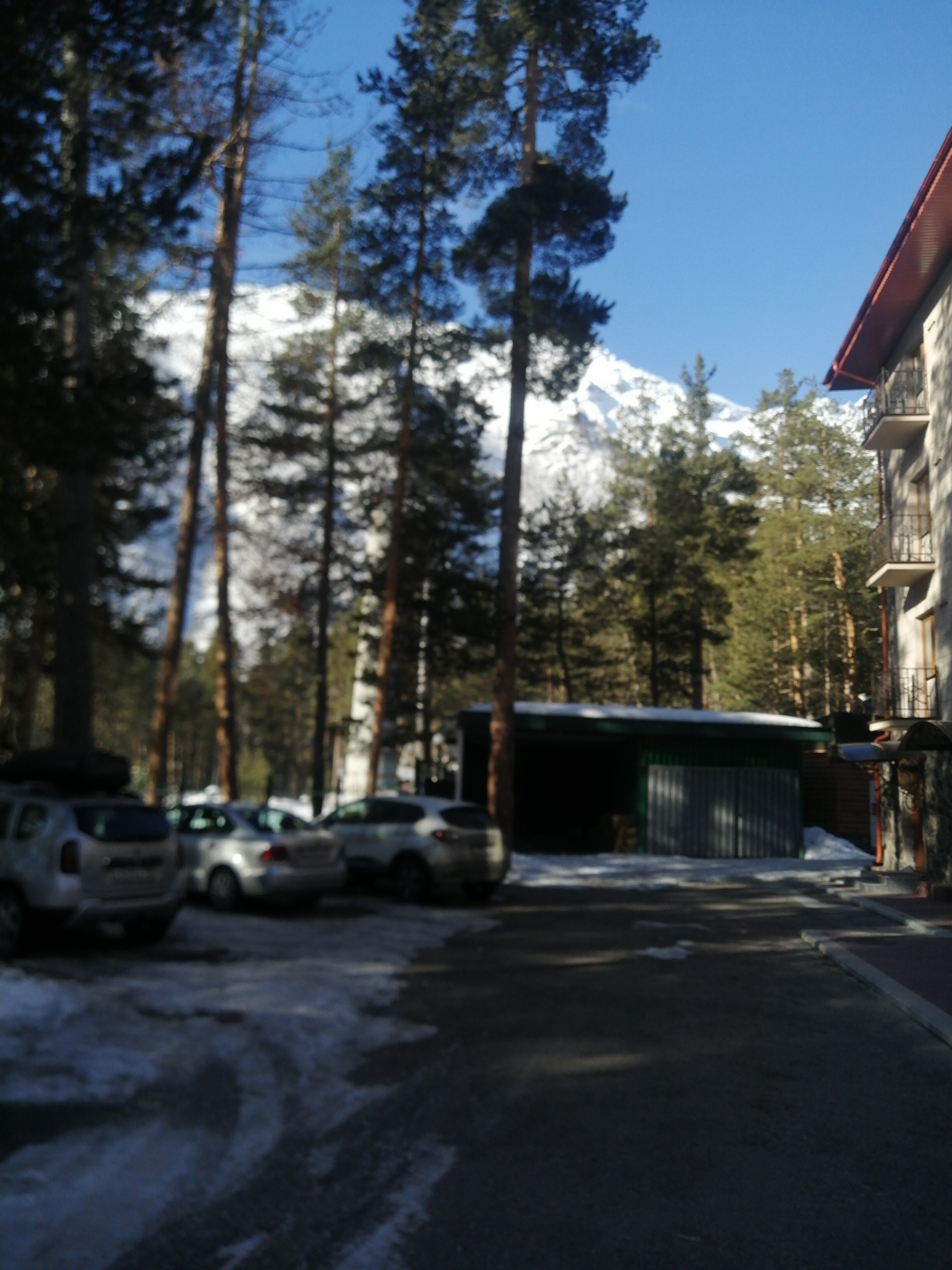 Фото Адамас