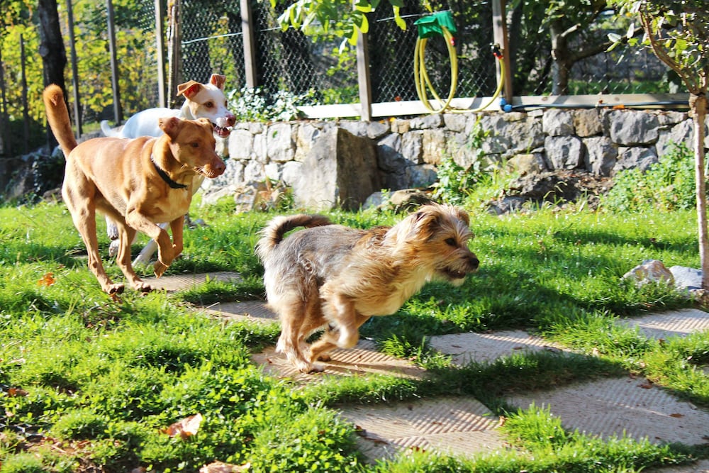 Фото Verdeblu House