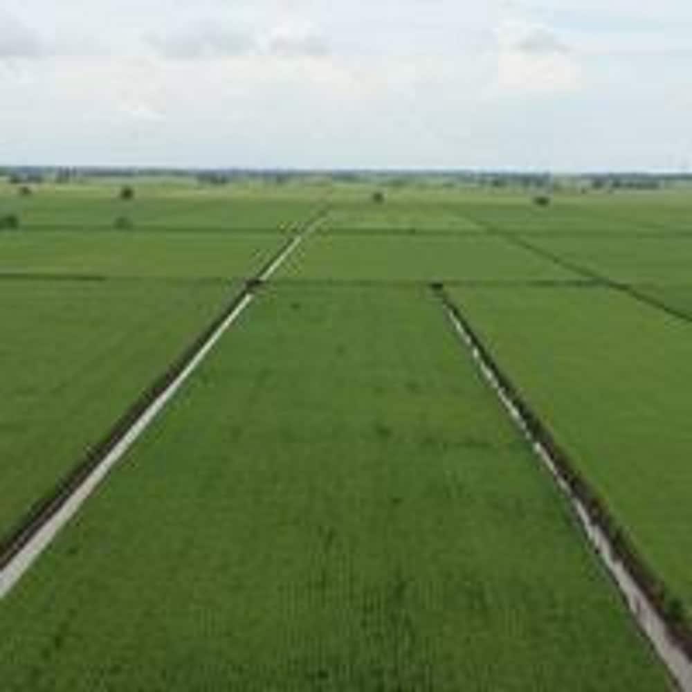 Фото The One Boutique Hotel Sekinchan