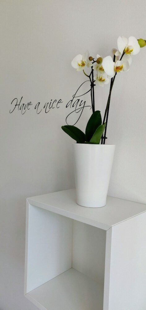 Фото Gästehaus Abtei Sayn