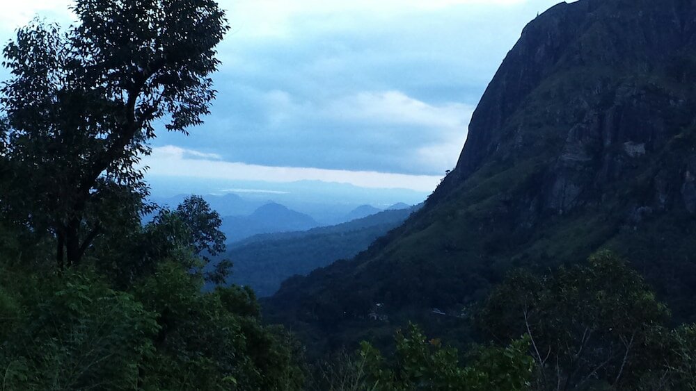 Фото Viewfront Ella