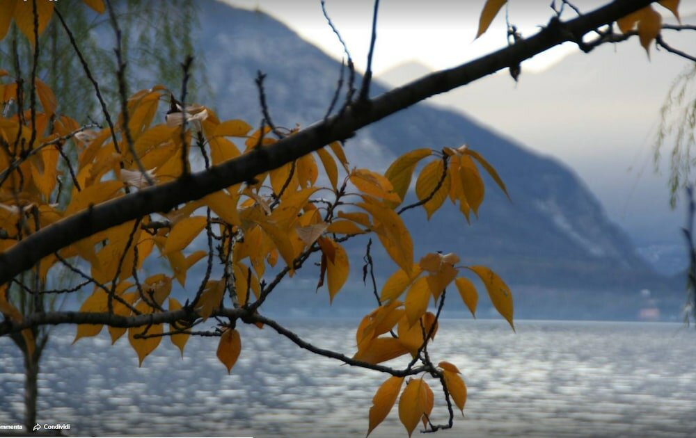 Фото Albergo Sole