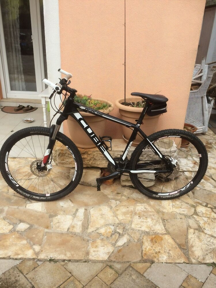 Фото Franulovic Apartments