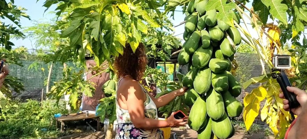 Фото Thoddoo Beach Holiday Inn