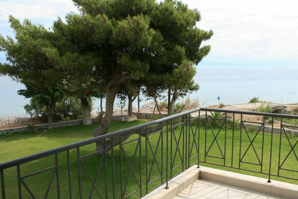 Фото Punda 4 Seasons