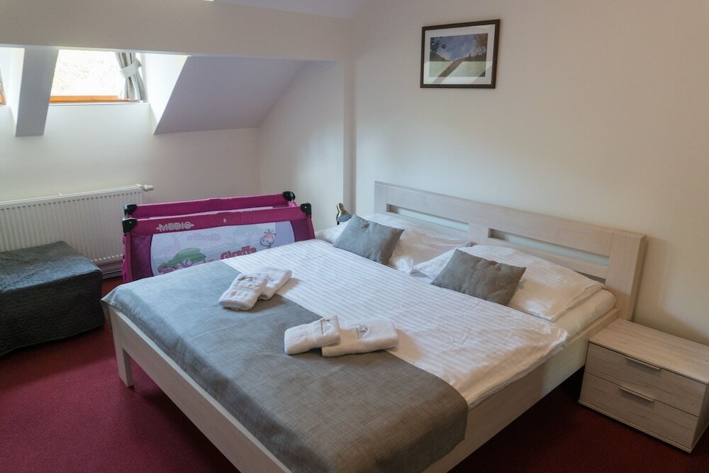 Фото ProFamily Top Benecko