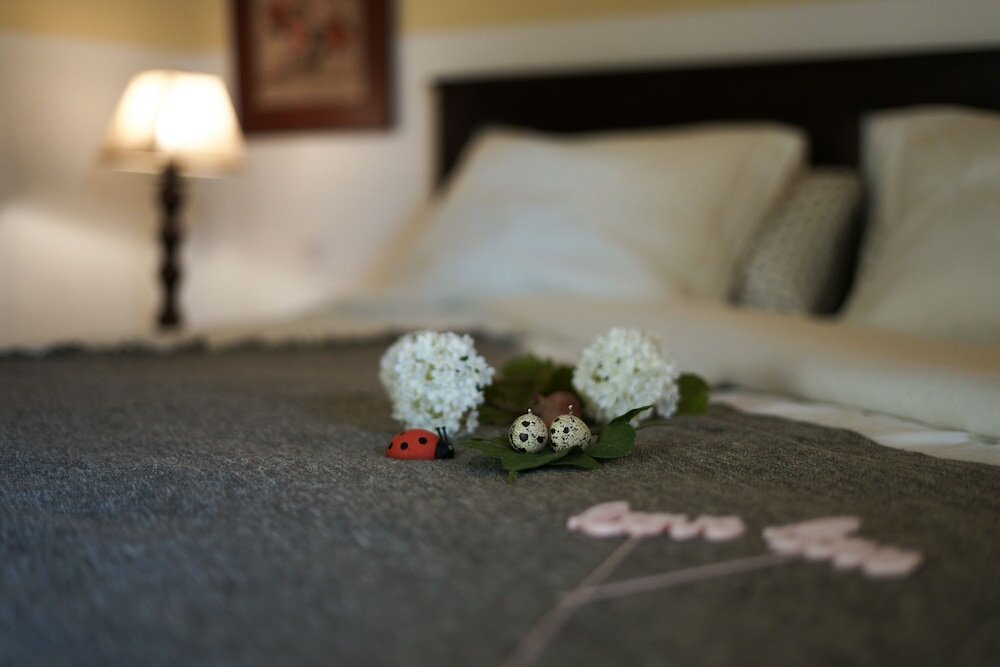 Фото Guest House Torre de Arriba