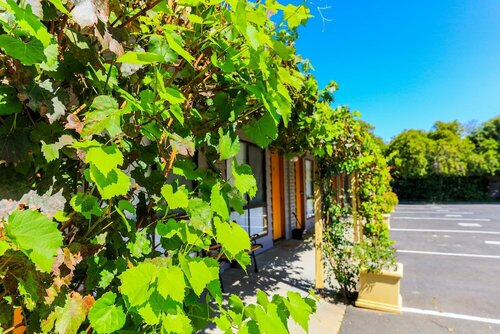 Гостиница Country Roads Motor Inn Naracoorte в Наракурте