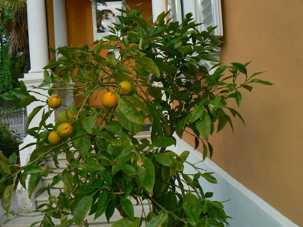 Фото B&b Aquilone