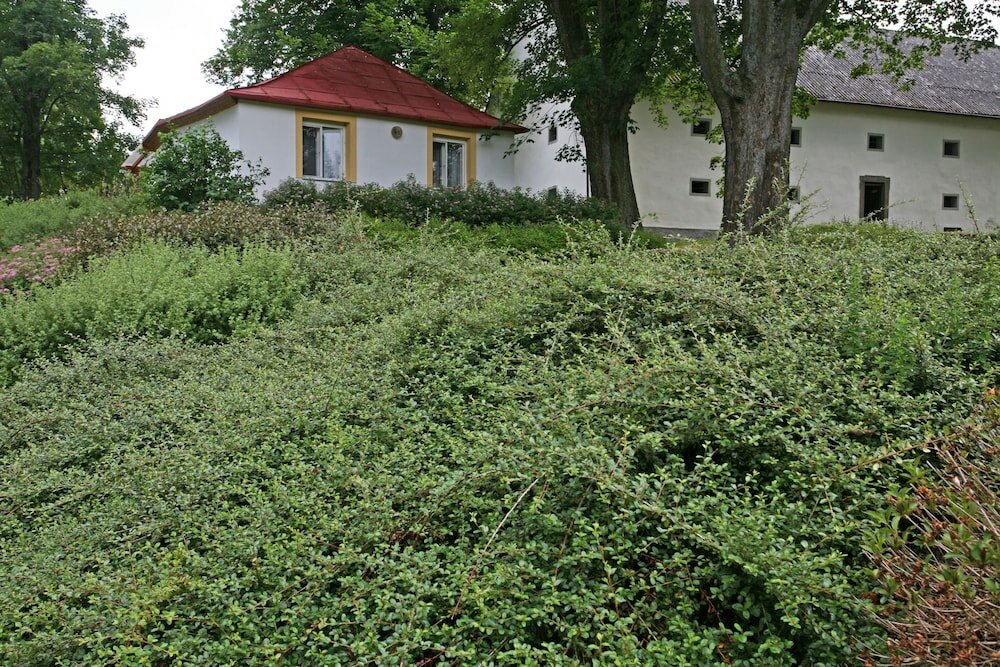 Фото Zamek Jindrichovice