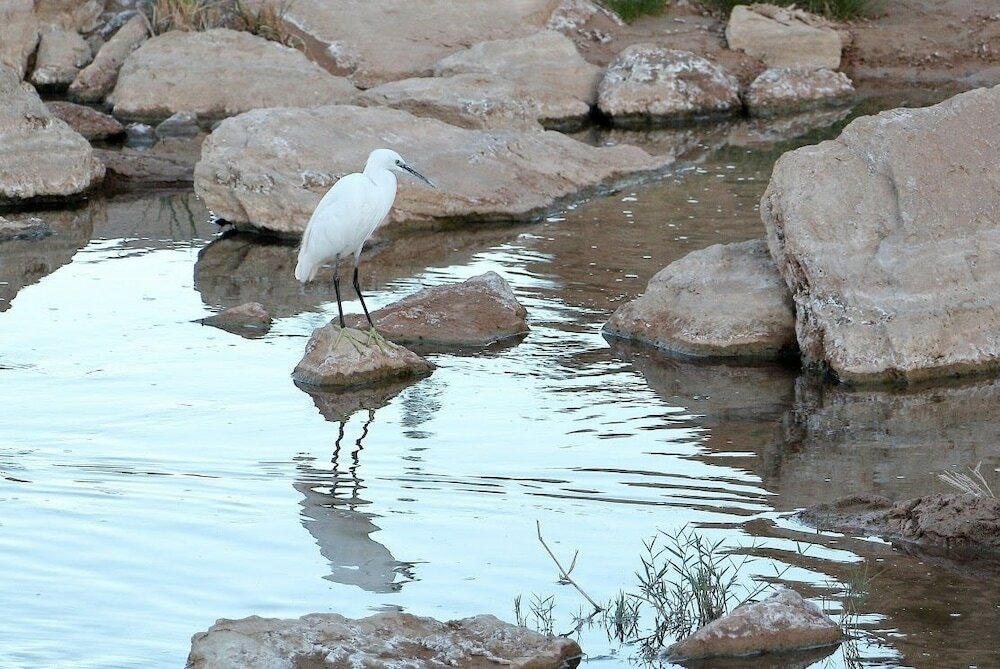 Фото Hotel Kasbah Tissint