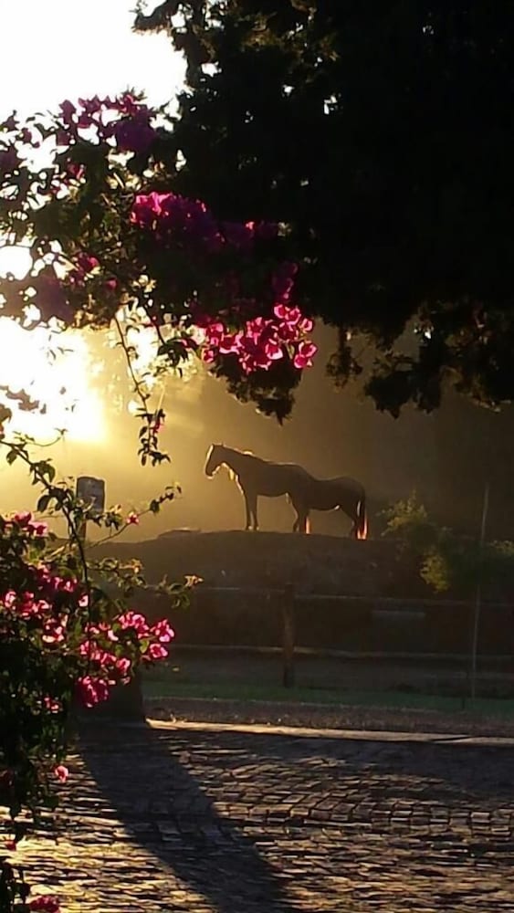 Фото Gerald's Gift Guest House