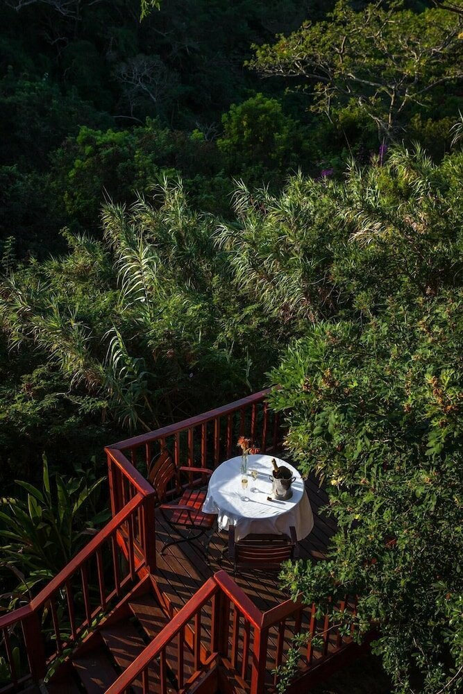 Фото The Loerie Hide