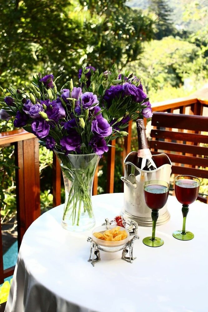 Фото The Loerie Hide